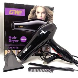 Professional Hair Dryer, GW-6558 - Fabvariety