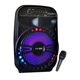 Portable Bluetooth Speaker with Mic