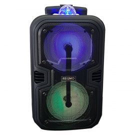 Trolley Speaker RM-TD0609A