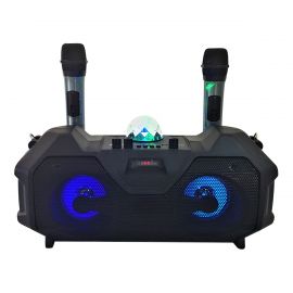 Wireless Bluetooth Speaker with colorful LED Light and Dual Wireless Mic - Model: ZQS-4240 - Fabvariety