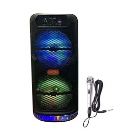 Portable Wireless Bluetooth Part Speaker GTS-1565 + NewStar Wired Mic 88-C34 Fabvariety