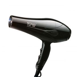 Electric Hair Dryer WTZEZO WT-2022 - Fabvariety